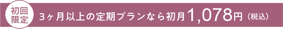 初回限定：3ヶ月以上の定額プランなら初月1,078円（税込）